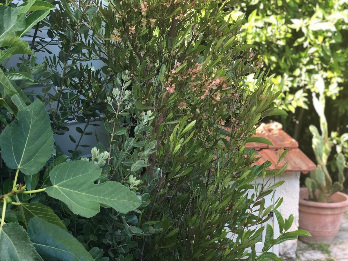 Le Tre Palme Βίλα Fontane Bianche Εξωτερικό φωτογραφία