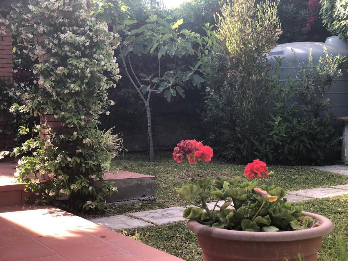 Le Tre Palme Βίλα Fontane Bianche Εξωτερικό φωτογραφία