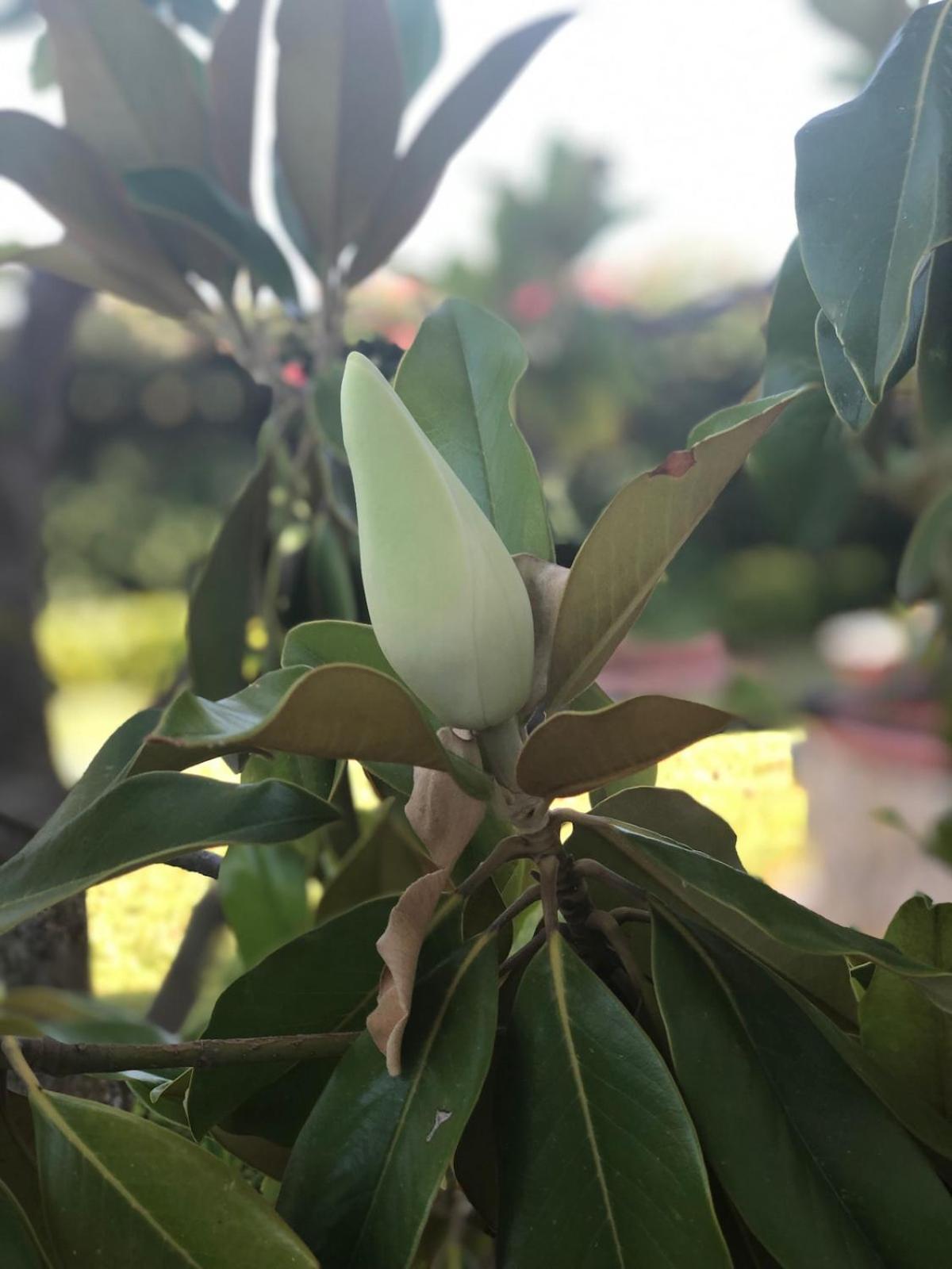 Le Tre Palme Βίλα Fontane Bianche Εξωτερικό φωτογραφία